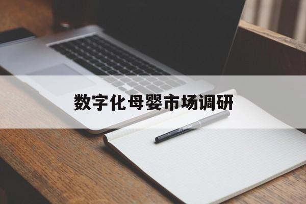 蚌埠市数字化母婴市场调研(数字化母婴市场调研报告)